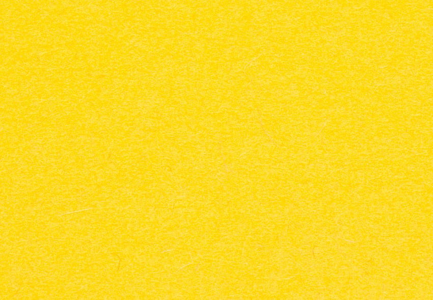 펠트 테이블 러너, 마리골드. 노란색 배경, 단색 노란색 HD 월페이퍼