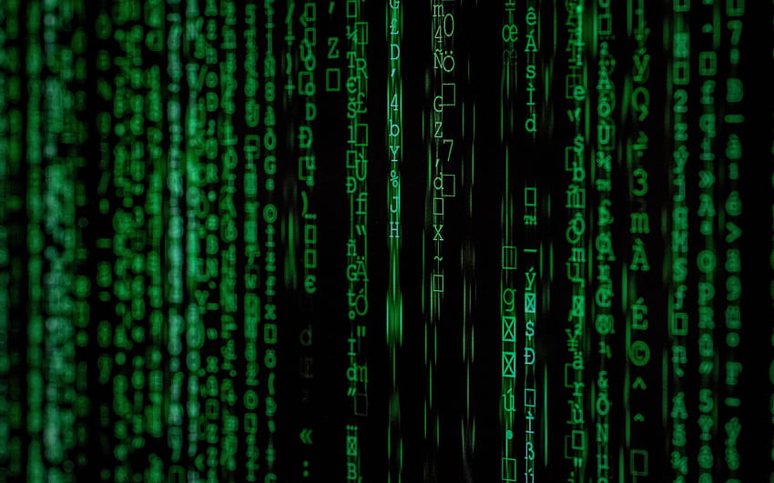 grüner Matrixhintergrund, Ziffern, die Matrix HD-Hintergrundbild