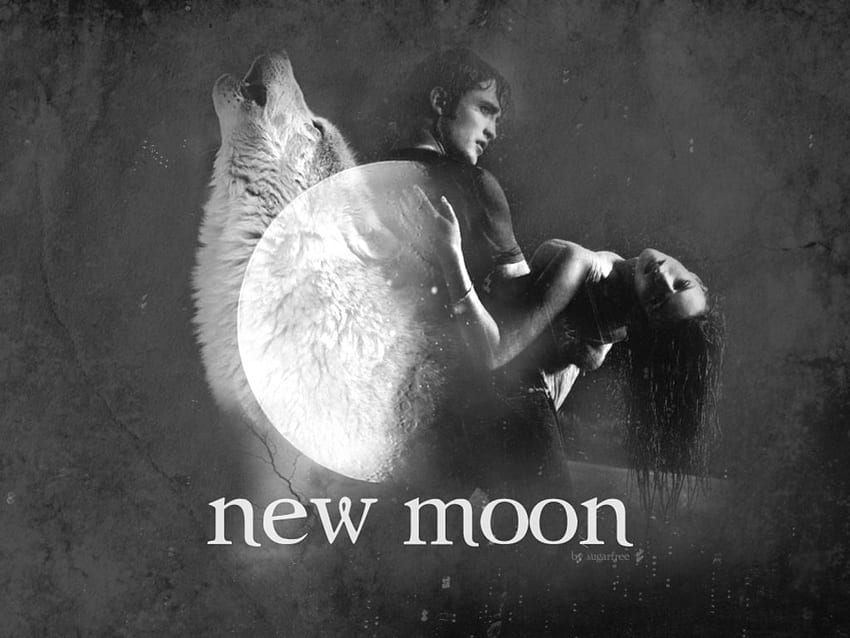 twilight new moon, new moon HD wallpaper