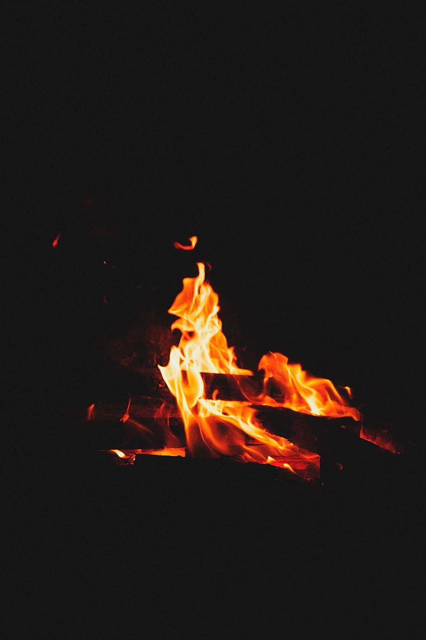 Camp Fire, Campfire HD phone wallpaper | Pxfuel