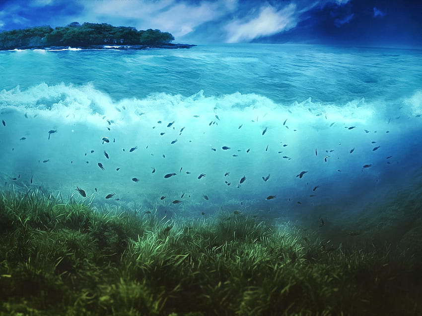 Water, Sea World HD wallpaper | Pxfuel