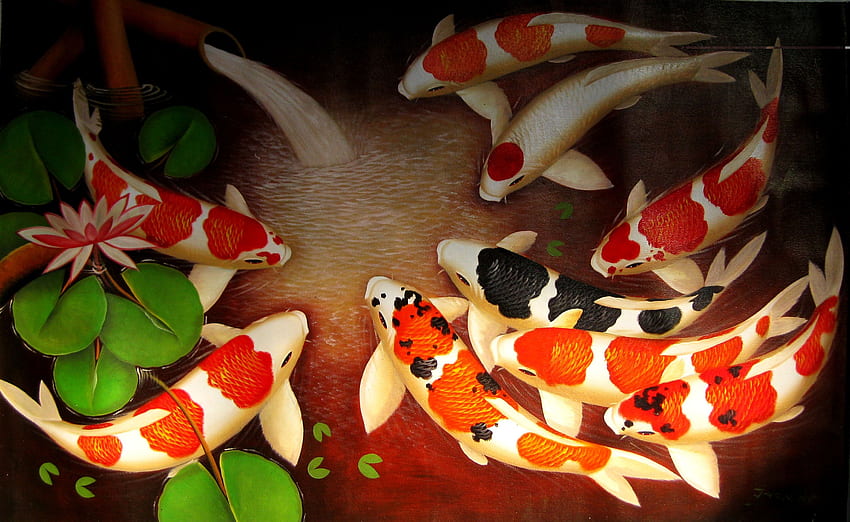 Animated Koi, Koi Fish Pond HD wallpaper