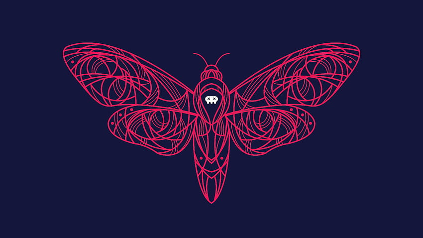 Acherontia (Death Moth symmetrical illustration by me) HD wallpaper