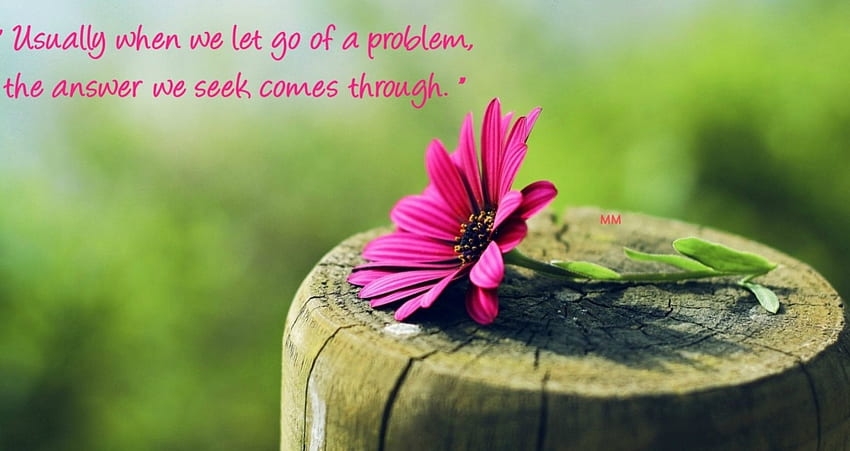 Let Go, Nature, Quotes, Flower, Thoughts, Words HD wallpaper