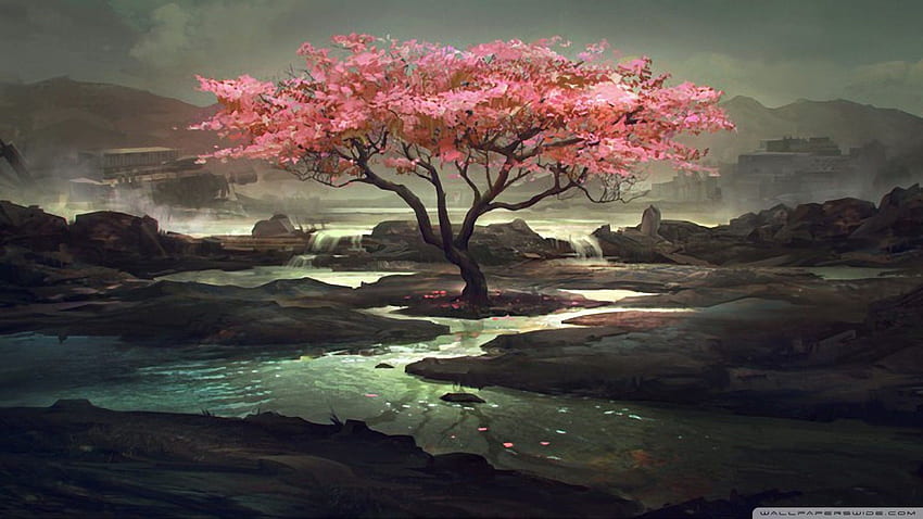 Cherry Blossom Drawing, Chinese Tree HD wallpaper