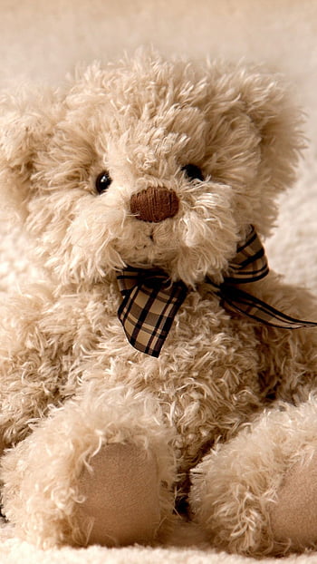 Cute teddy bear iphone HD wallpapers  Pxfuel