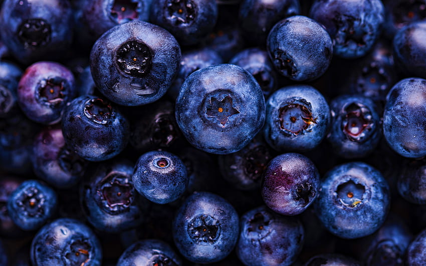 blueberries, , ripe berries, macro, berries texture, background with blueberries, food texture, blueberry texture HD wallpaper