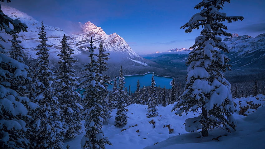 Peyto Lake, Banff NP, Alberta, invierno, nieve, nubes, paisaje, árboles, cielo, Canadá, montañas fondo de pantalla