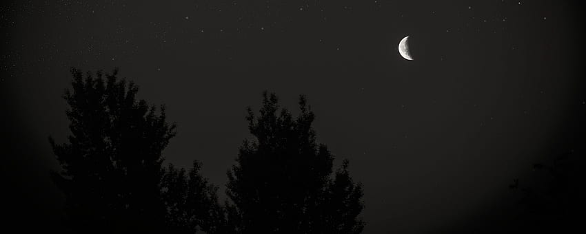 moon, night, sky, tree, stars, dark ultrawide monitor background, Black Moon and Stars HD wallpaper
