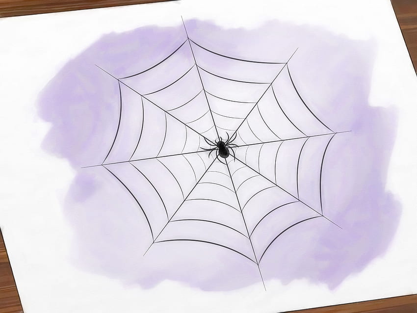 Ways to Draw a Spider Web, Cartoon Spider Web HD wallpaper