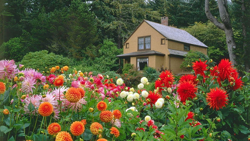 fondos de pantalla de jardines de flores