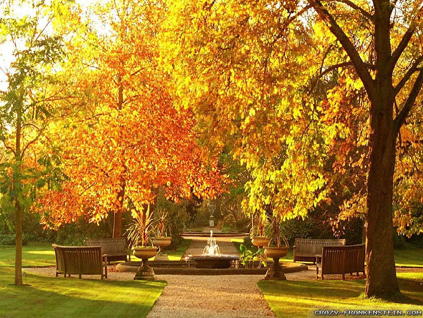 Sombre Autumn Scenes, 1024 X 768 Autumn HD wallpaper