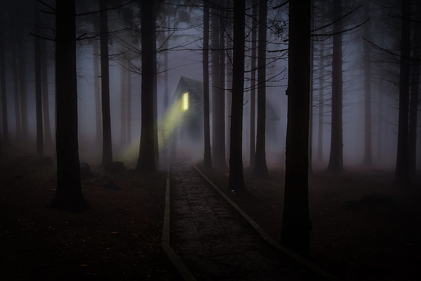 Notte, buio, foresta, nebbia, casetta, casetta, spettrale, inquietante Sfondo HD