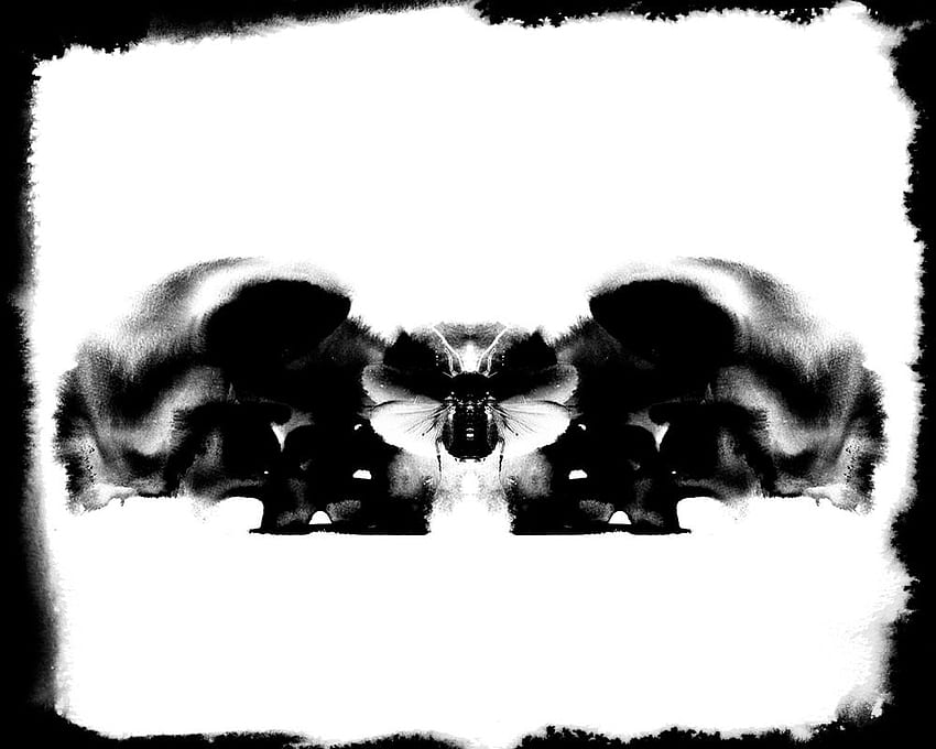 Metamorphose . Escher Metamorphosis , Metamorphosis Narcissus und Metamorphosis HD-Hintergrundbild