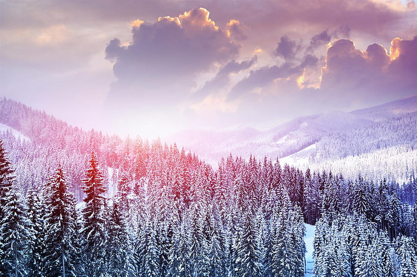 Pink Winter Laptop, Cute Winter HD wallpaper | Pxfuel