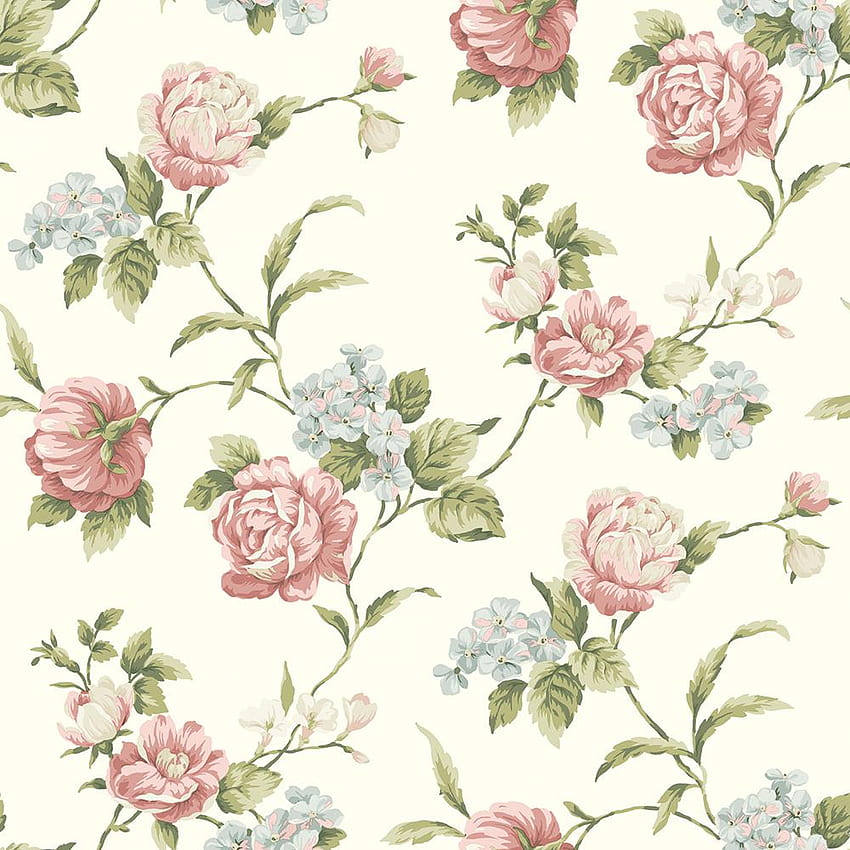 Chesapeake Gleason White Floral Rose Trail Sample, White Plant HD phone wallpaper