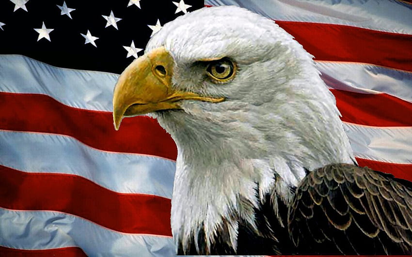 Weißkopfseeadler mit amerikanischer Flagge. Weißkopfseeadler und usa-flaggenfeuerwerke HD-Hintergrundbild