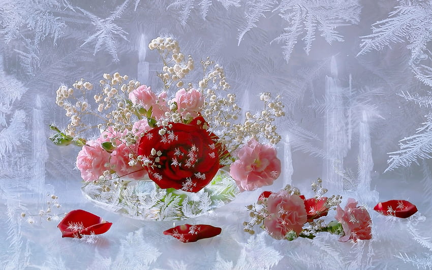 Pflanzen, Blumen, Rosen HD-Hintergrundbild