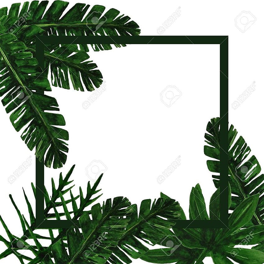 Best Trendy summer tropical leaves design HD phone wallpaper