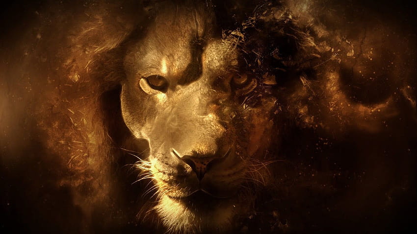 lions wallpapers 3d