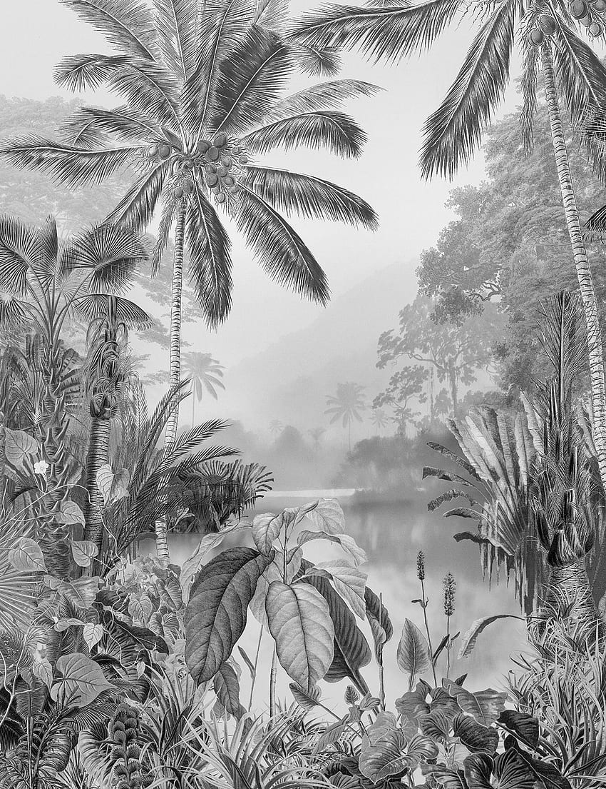 Vliestapete Lac Tropical Black & White (R2 008) Von Komar HD phone wallpaper