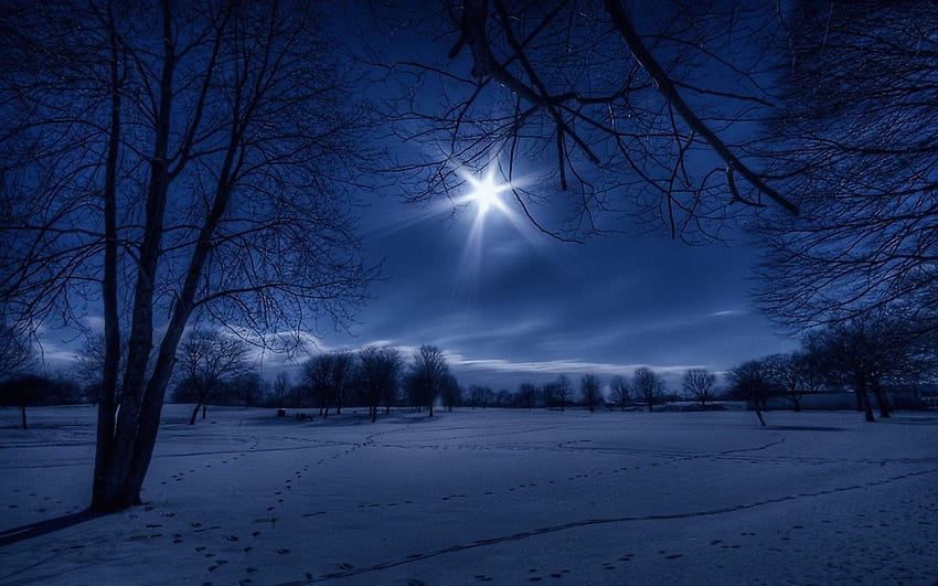 Winter Night In Moonlight - Single Star In Sky - - HD wallpaper