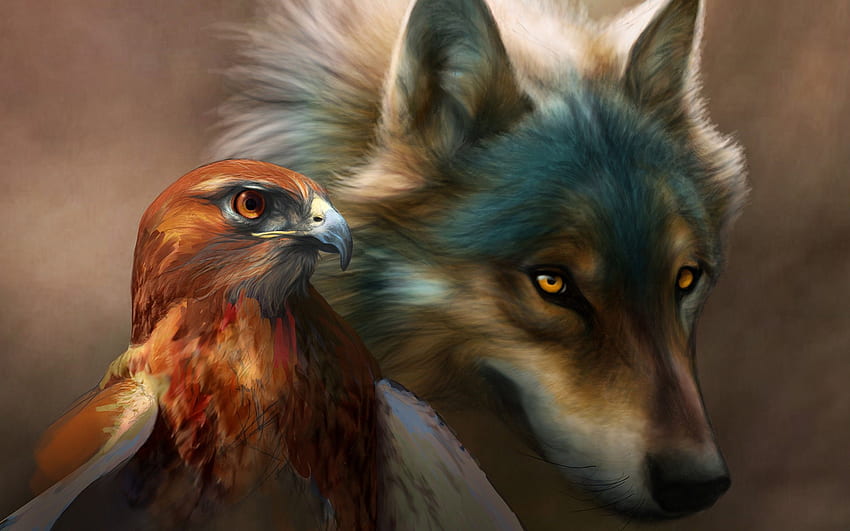 Lobo y águila: el más popular de lobo y águila, lobo volador fondo de  pantalla | Pxfuel
