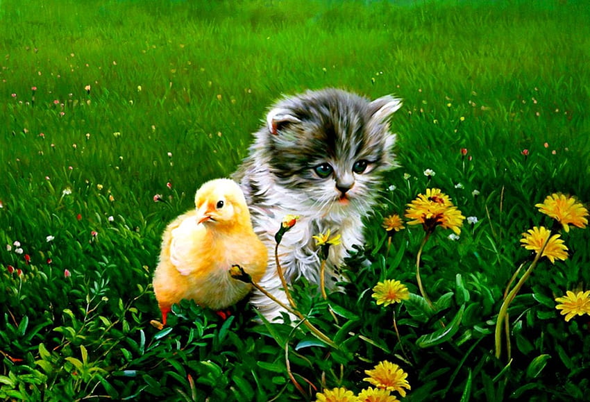 Dwóch małych przyjaciół, kotek, kurczak, kiciuś, uroczy, polne kwiaty, , zwierzęta, zieleń, godny podziwu, przyjaciele, słodki, sztuka, łąka, kot, piękny, trawa, puszysty, lato, ładny, świeżość Tapeta HD