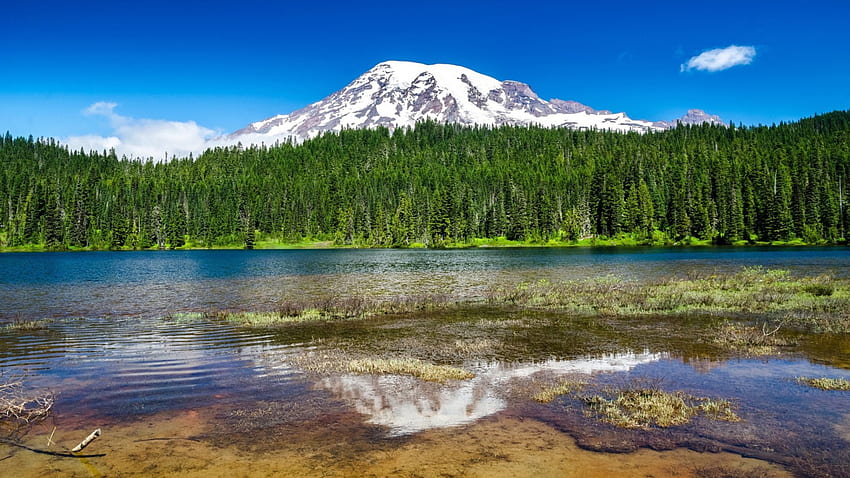 lake in mount rainier national park, reflection, clouds, sky, forest, lake, mountain HD wallpaper