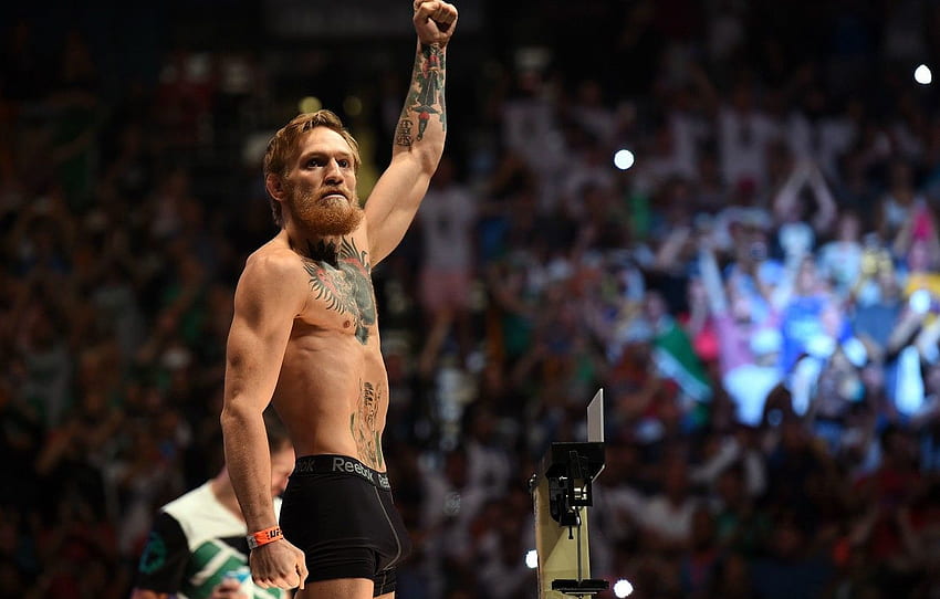 MMA, UFC, Conor McGregor, Conor McGregor Wallpaper HD