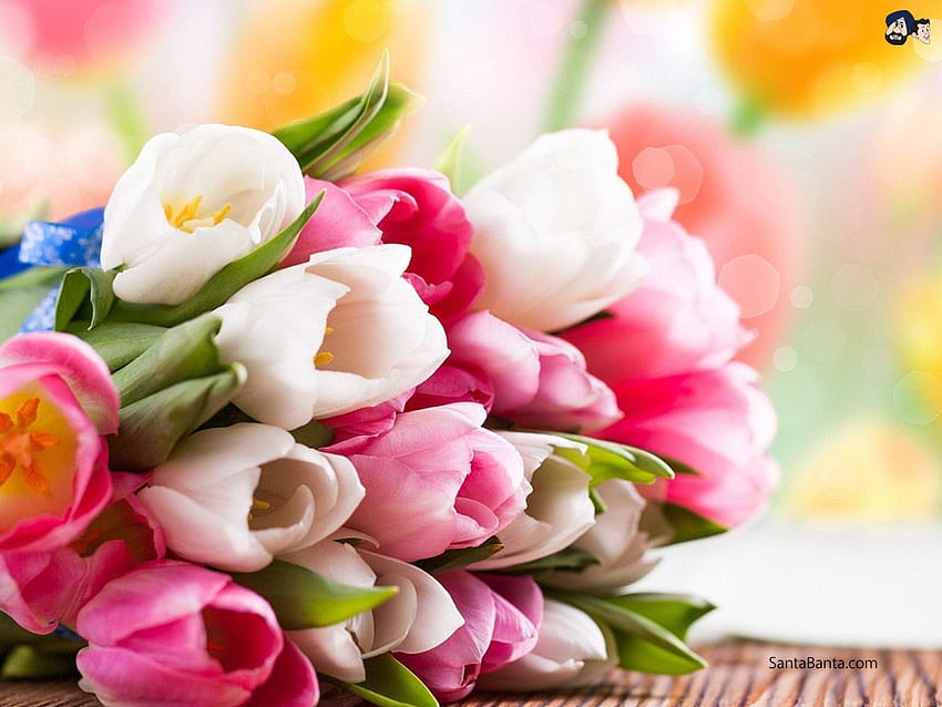 Un bouquet de tulipes colorées Fond d'écran HD