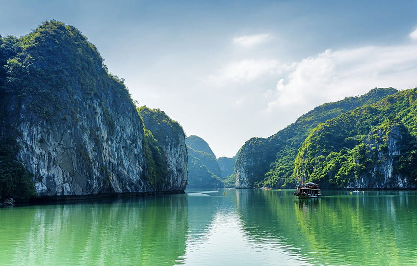 Nature, Sea, Rock, Bay, Vietnam, Bay, Halong Bay for , section природа HD wallpaper