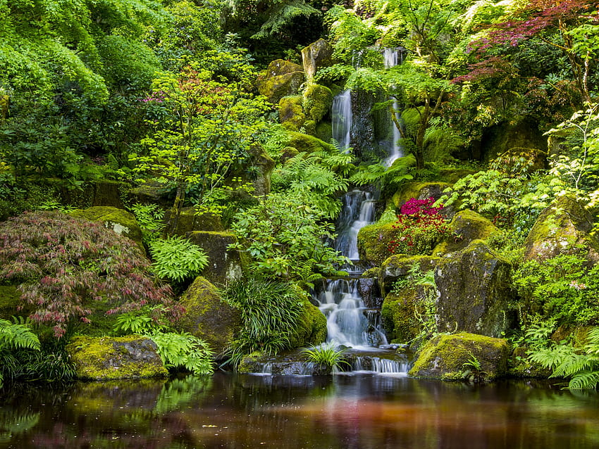 Japanese garden in Portland, Oregon, beautiful, forest, pond, japanese, plants, garden, rocks, summer, waterfall, cascades, trees, greenery HD wallpaper