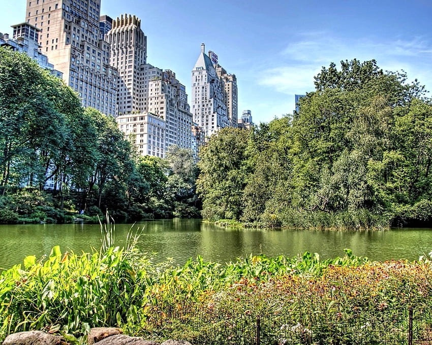 Central Park Summer - , Central Park Summer Background on Bat, NYC ...