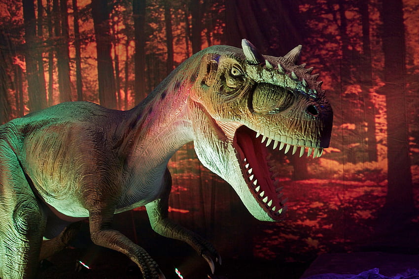 Allosaurus Dinosaur HD wallpaper | Pxfuel