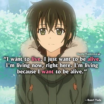 Golden time quotes HD wallpapers | Pxfuel