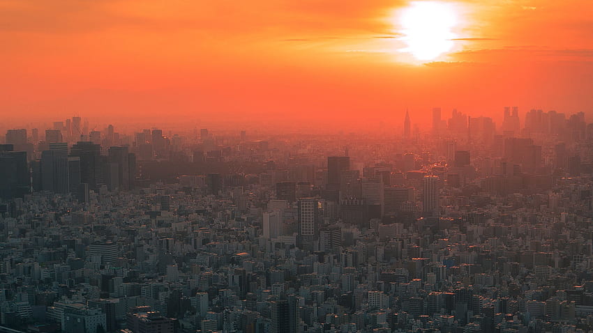 city, sunset, fog, aerial view, tokyo, japan 16:9 background, Tokyo Morning HD wallpaper