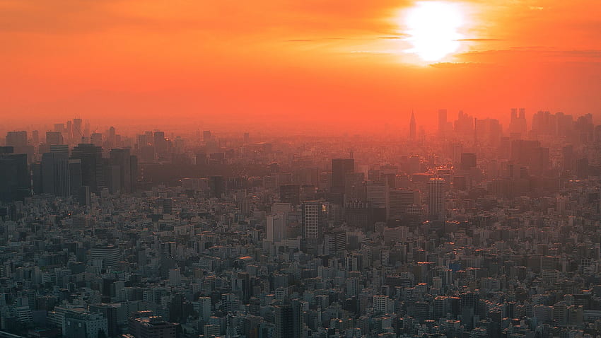 град, залез, мъгла, изглед от въздуха, Токио, Япония 16:9 фон, Tokyo Morning HD тапет