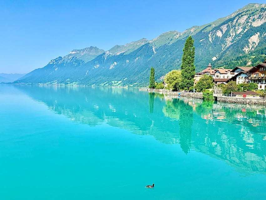 ブリエンツ湖 - スイスで最ものどかな湖！ - 私の故障したコンパス 高画質の壁紙