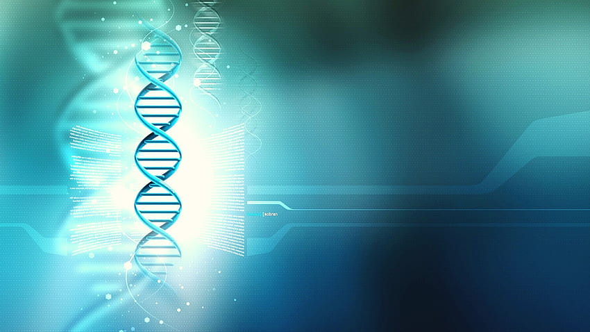 ADN haute résolution, structure de l'ADN Fond d'écran HD
