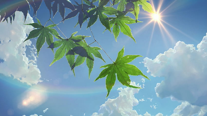 Sommer, Sonnenlicht, Blätter, Der Garten der Worte, Sonnenstrahlen, Wolken, Makoto Shinkai / und mobile Hintergründe HD-Hintergrundbild