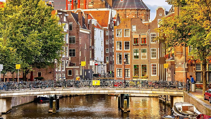 アムステルダムの運河に架かる橋、自転車、運河、都市、木々、橋 高画質の壁紙