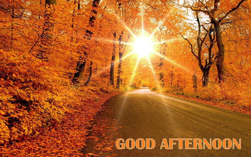 good afternoon amazing autumn road way . Autumn, Beautiful Good Afternoon HD wallpaper