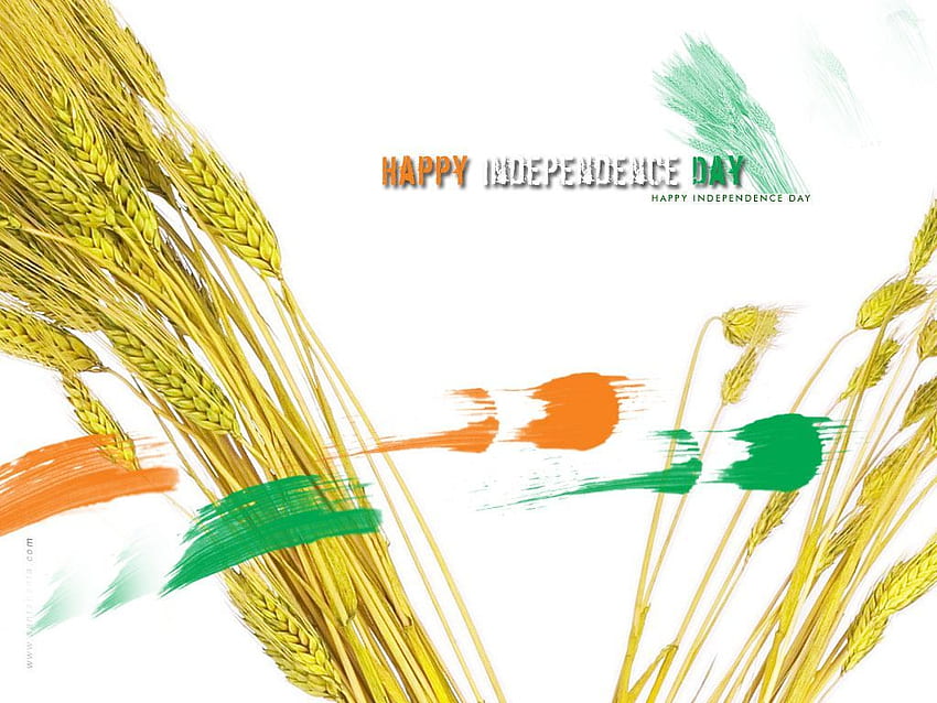 농부 독립 기념일 8월 15일, 축제, 독립 기념일, 인도 Wallp. 행복한 독립 기념일 소원, 독립 기념일 인도, 독립 기념일 소원, 인도 농부 HD 월페이퍼