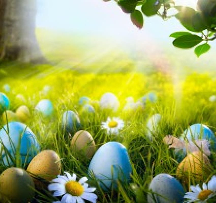 Tiempo de Pascua, sol, verde, lindo, prado, flores, hierba, primavera, huevos fondo de pantalla