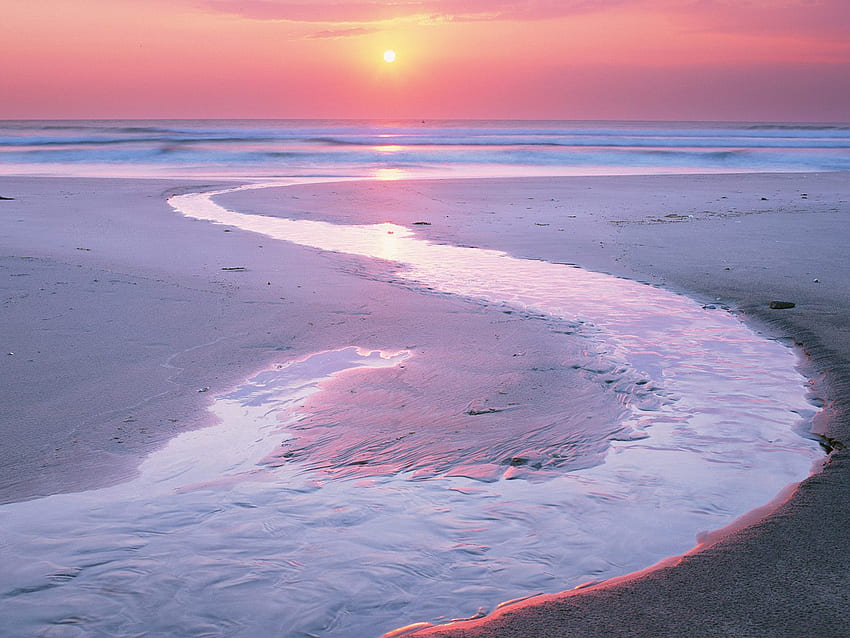 Rosa Sonnenuntergang, rosa Strand-Laptop HD-Hintergrundbild