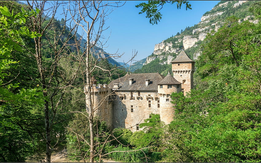 Chateau de la Caze, Frankreich, Bäume, Burgen, Architektur, Frankreich HD-Hintergrundbild