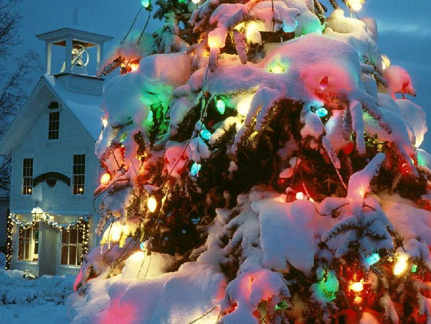 Christmas tree, hollydays, colourful, christmas, tree HD wallpaper