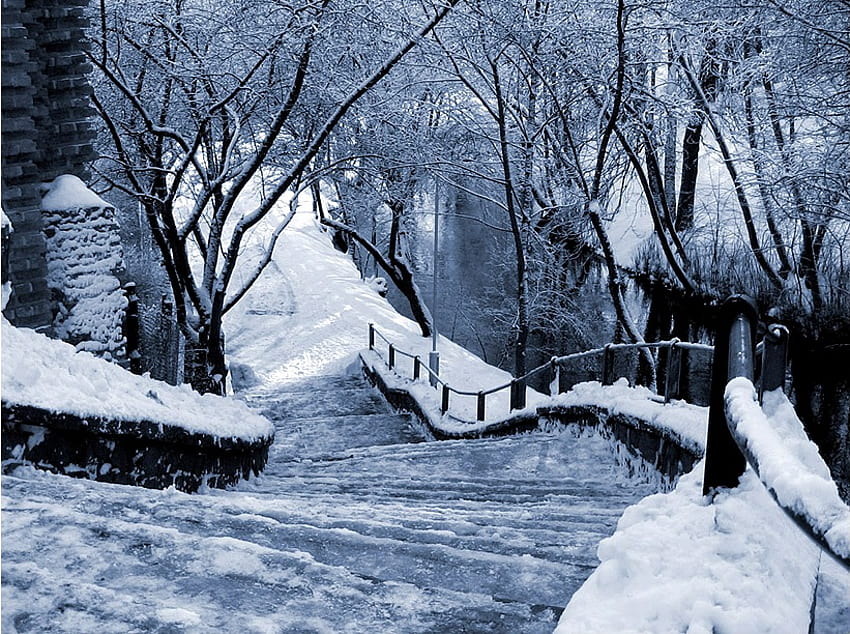 Winter, path HD wallpaper