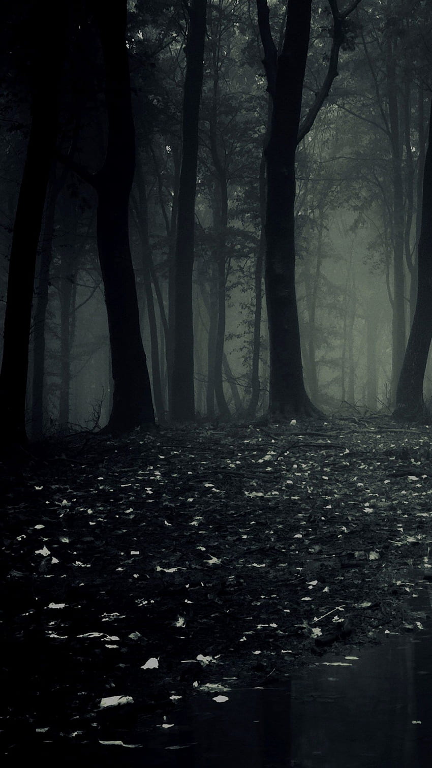 Dark Forest Phone and share it with more people, Cool Dark Forest HD phone wallpaper